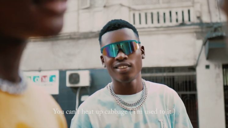 Music Video : Flower Boy (Tz) – Nishazoea