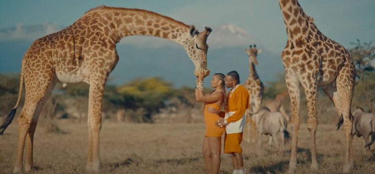 Music Video : Marioo – Hakuna Matata
