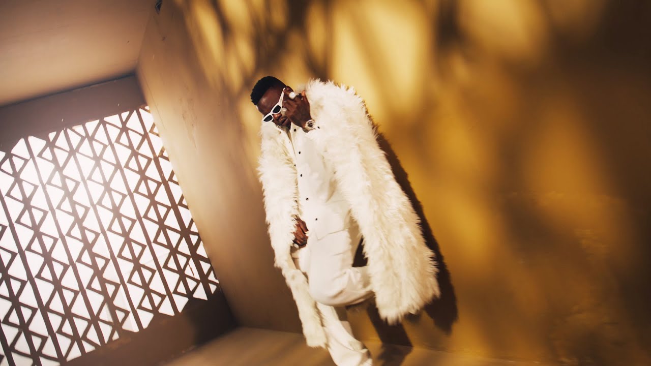 Music Video : Harmonize – Ujana