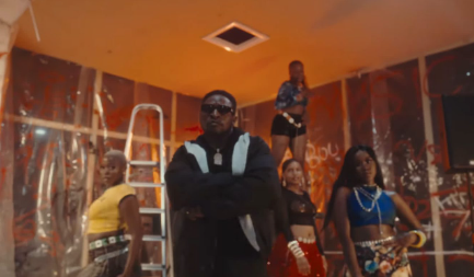 Music Video : Dj Davizo Ft. Joh Makini – Party Lover