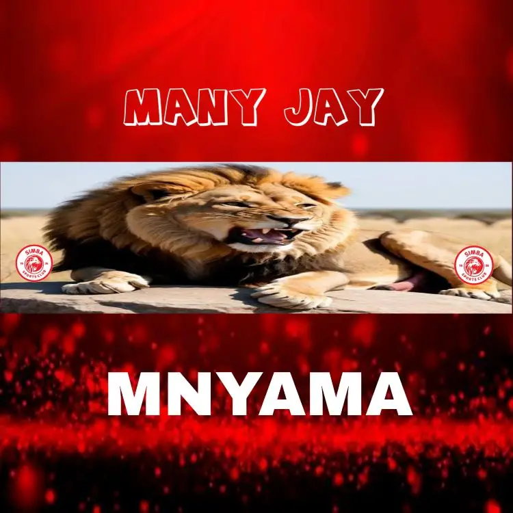Music Audio : Many jay – Mnyama