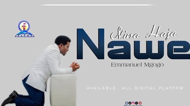 Music Audio : Emmanuel Mgogo – Nina Haja Nawe